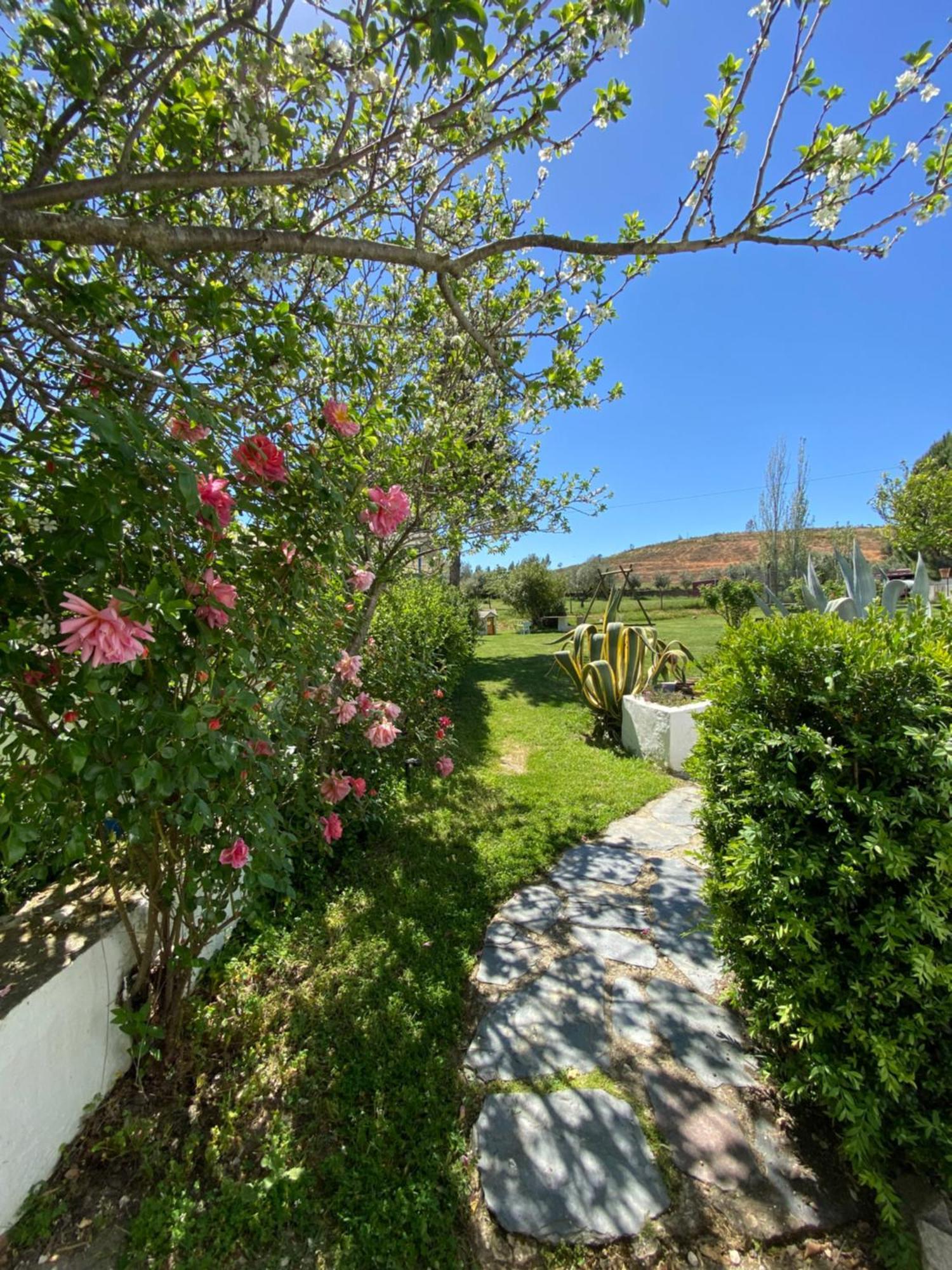 Quinta Alfaval Guest House Redondo Exterior photo